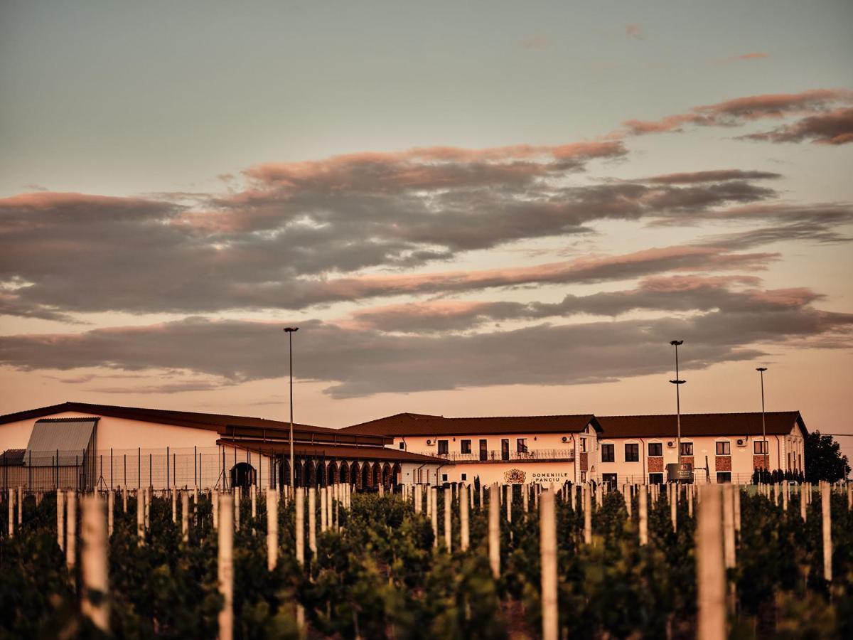 Domeniile Panciu Winery & Resort Sarbi  Екстер'єр фото