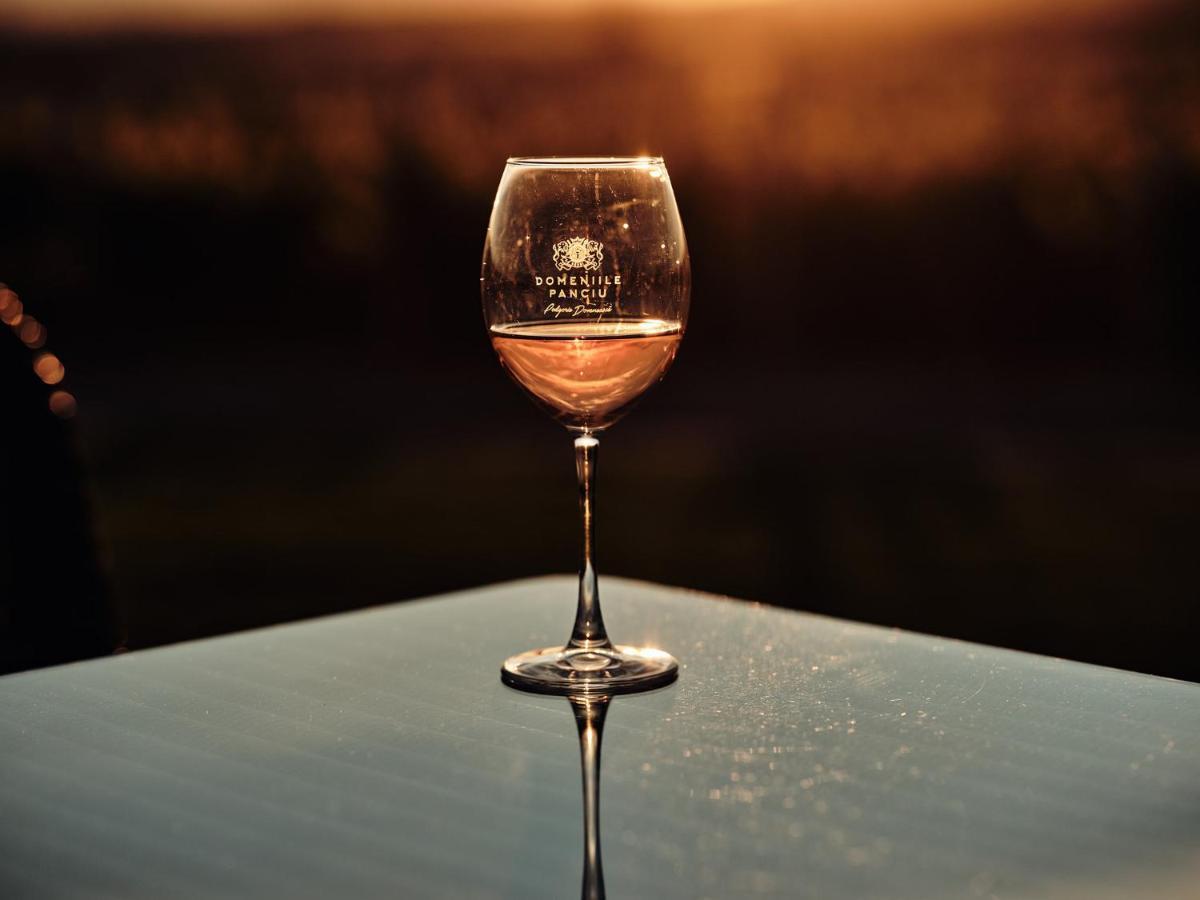 Domeniile Panciu Winery & Resort Sarbi  Екстер'єр фото