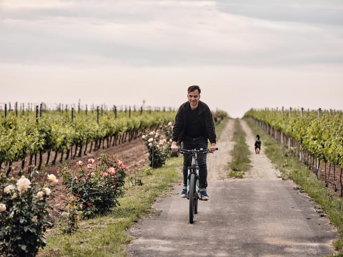 Domeniile Panciu Winery & Resort Sarbi  Екстер'єр фото