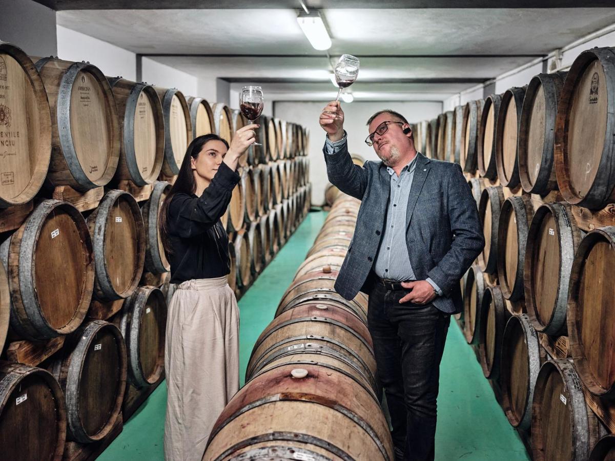 Domeniile Panciu Winery & Resort Sarbi  Екстер'єр фото