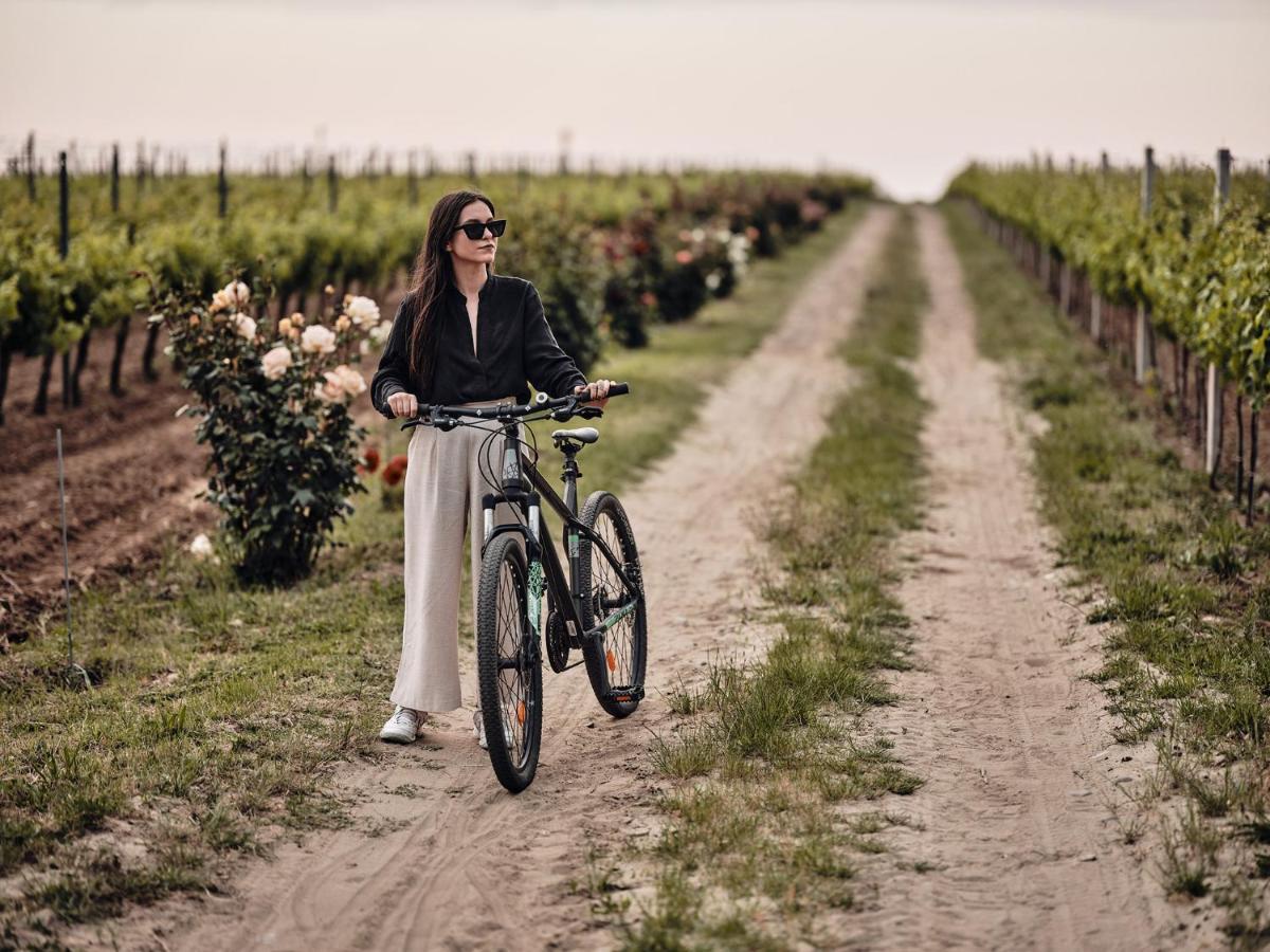 Domeniile Panciu Winery & Resort Sarbi  Екстер'єр фото