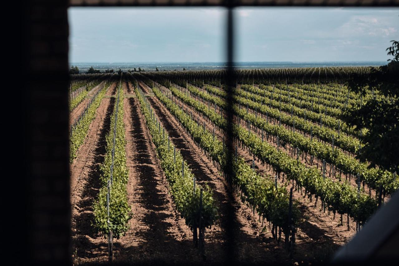 Domeniile Panciu Winery & Resort Sarbi  Екстер'єр фото